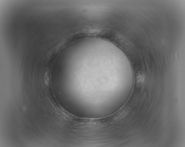 X0000074941204200609151956