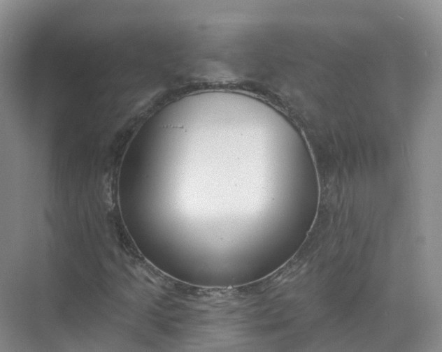 X0000074941205200609151956