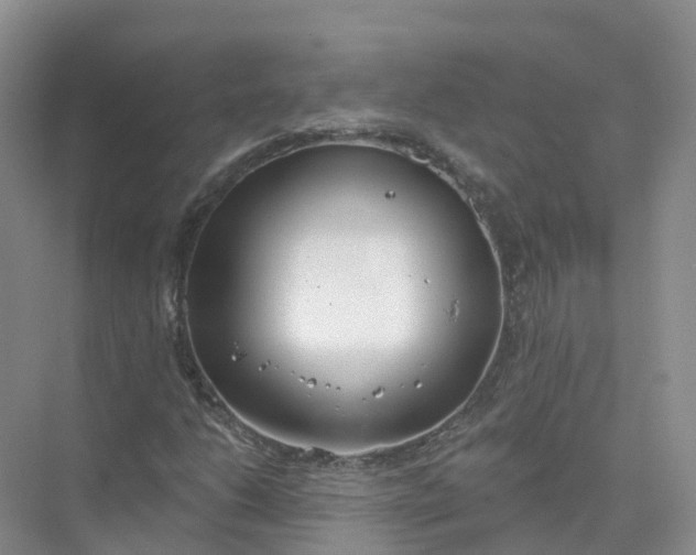 X0000074941206200609151956