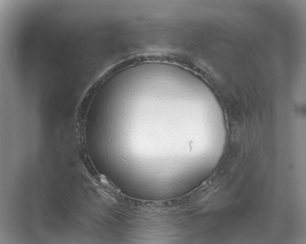 X0000074941208200609151956