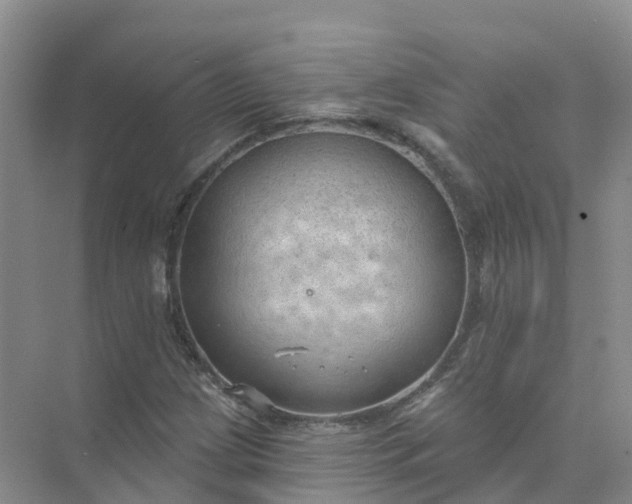 X0000074941209200609151956