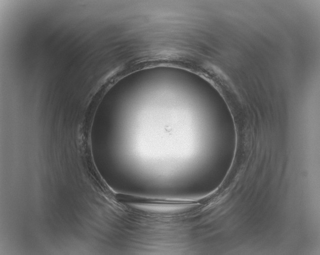 X0000074941210200609151956