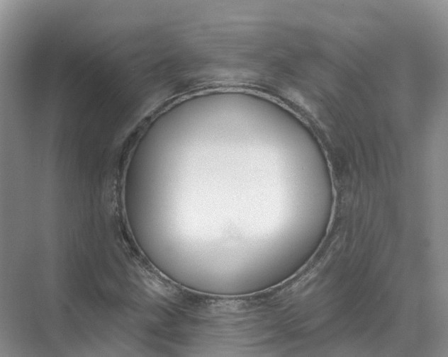 X0000074941211200609151956