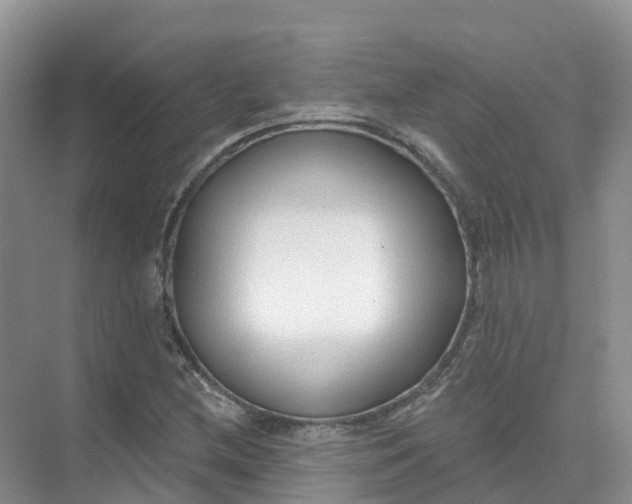 X0000074941212200609151956