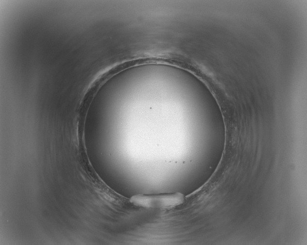 X0000074941214200609151956