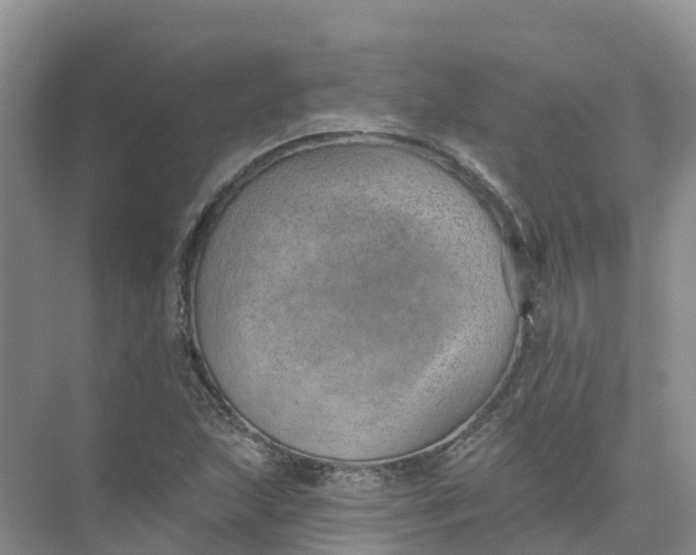 X0000074941215200609151956