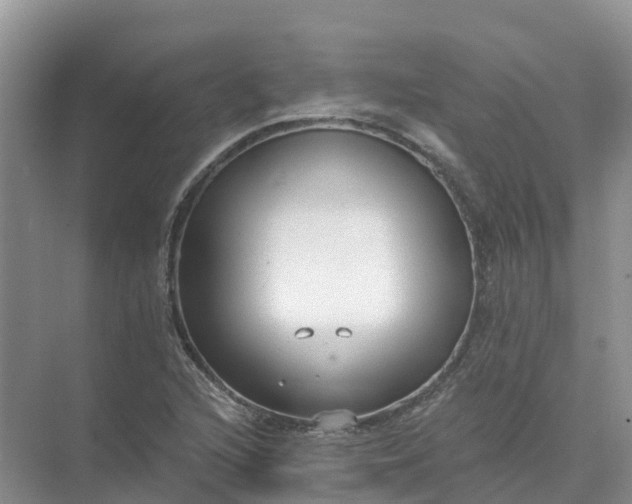 X0000074941216200609151956