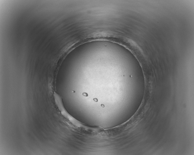 X0000074941217200609151956