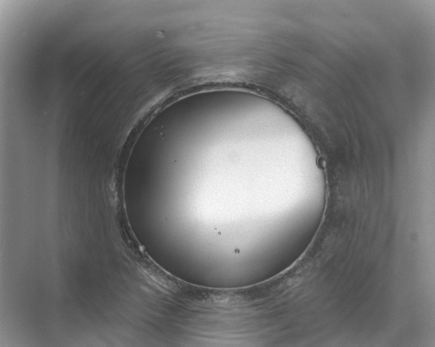 X0000074941218200609151956