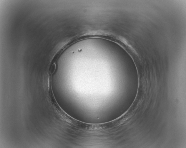 X0000074941221200609151956