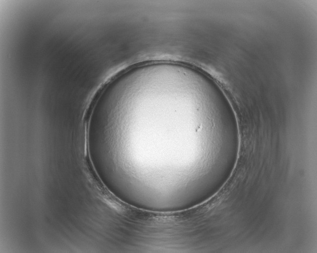 X0000074941223200609151956