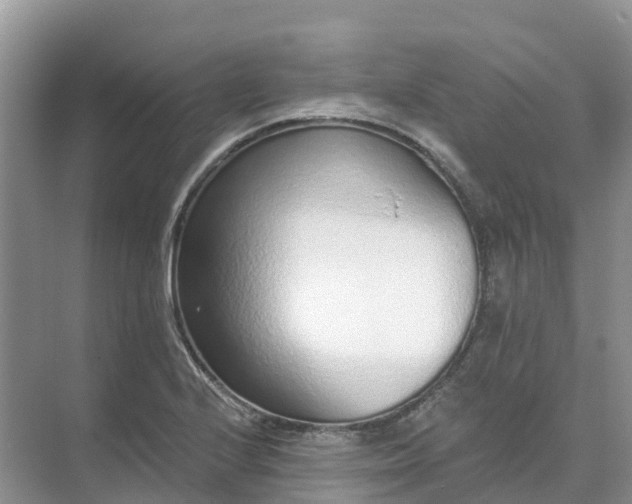 X0000074941224200609151956