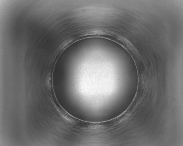 X0000074941225200609151956