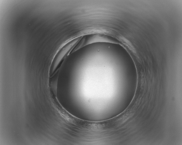 X0000074941226200609151956