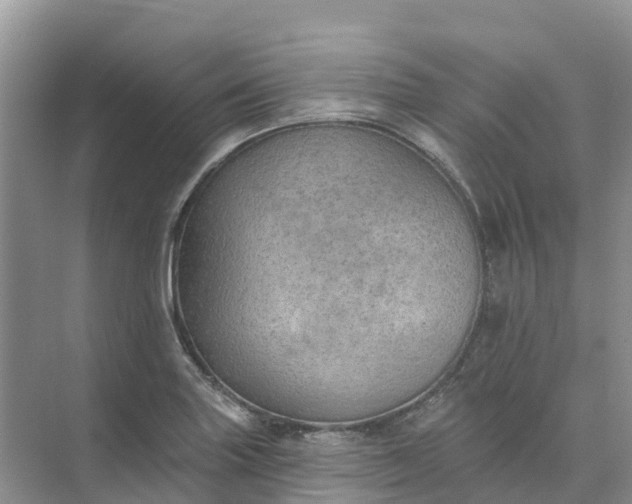 X0000074941227200609151956