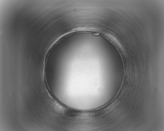 X0000074941228200609151956