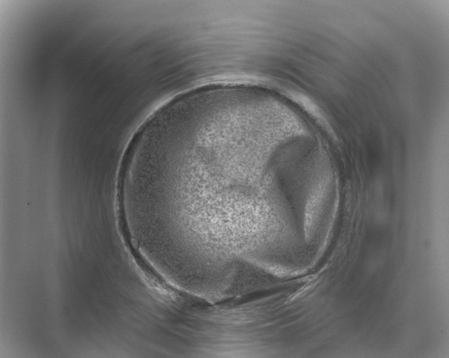 X0000074941229200609151956