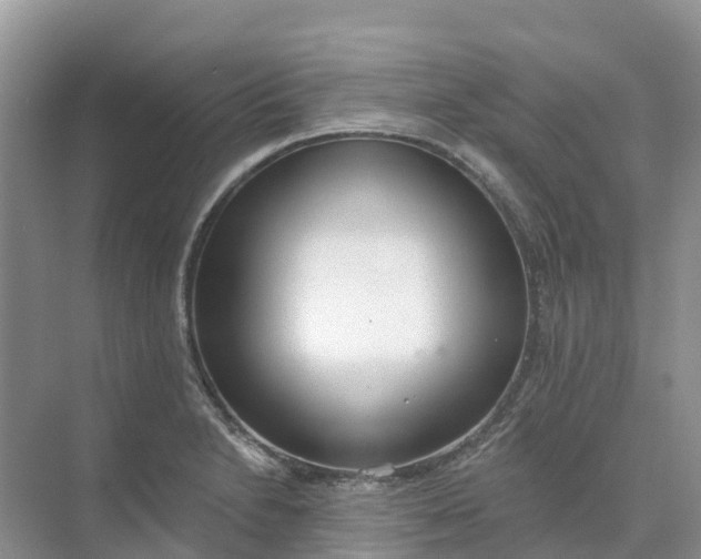 X0000074941230200609151956