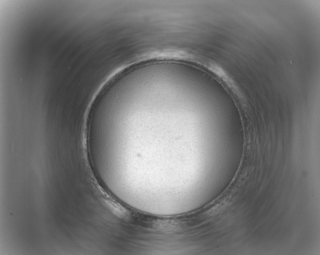 X0000074941232200609151956