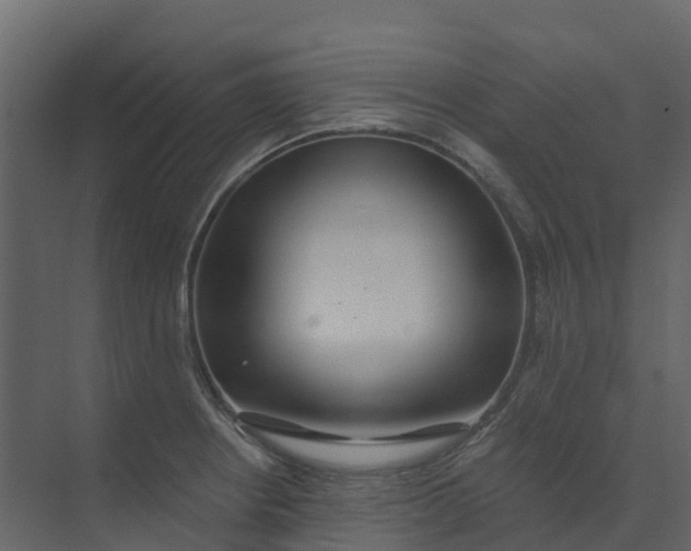 X0000074941234200609151956