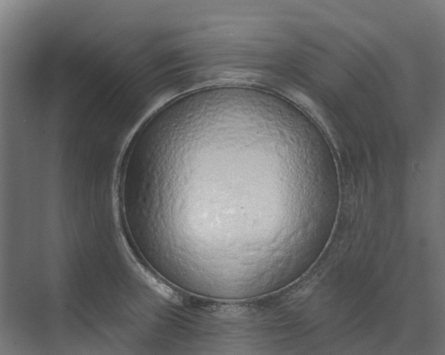 X0000074941235200609151956