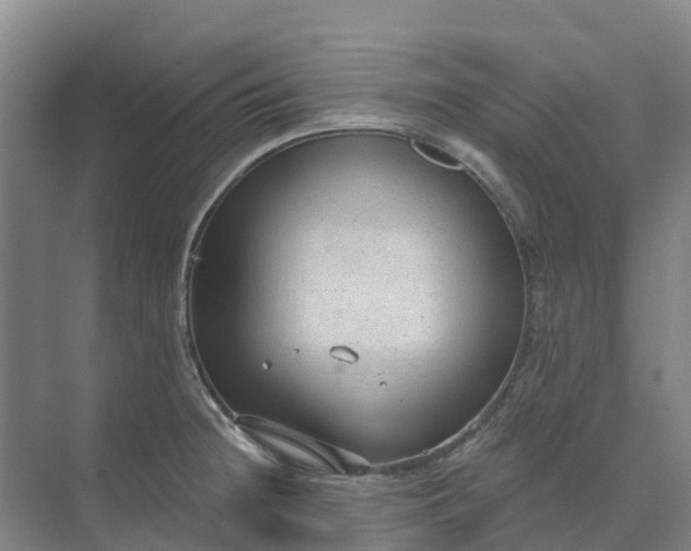 X0000074941236200609151956