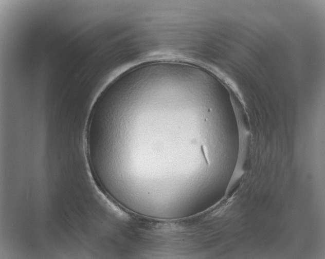 X0000074941239200609151956