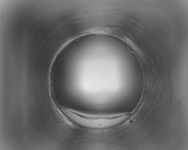 X0000074941240200609151956