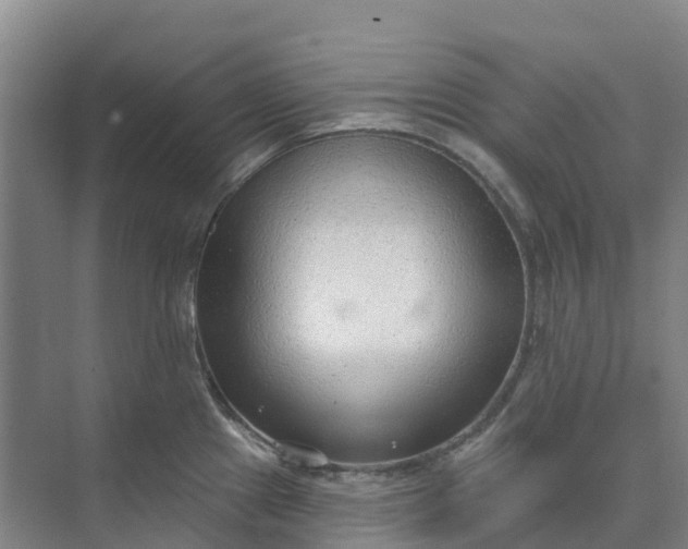 X0000074941241200609151956