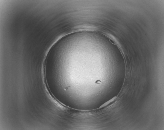 X0000074941243200609151956