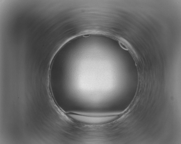 X0000074941244200609151956