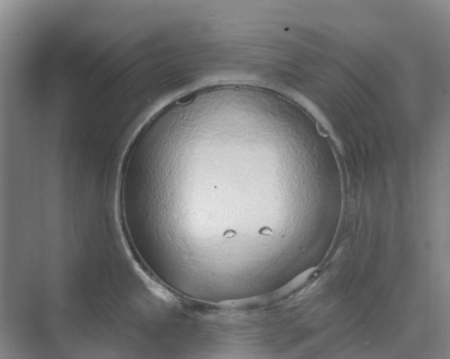 X0000074941245200609151956