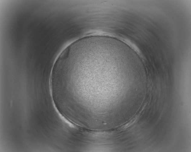 X0000074941247200609151956