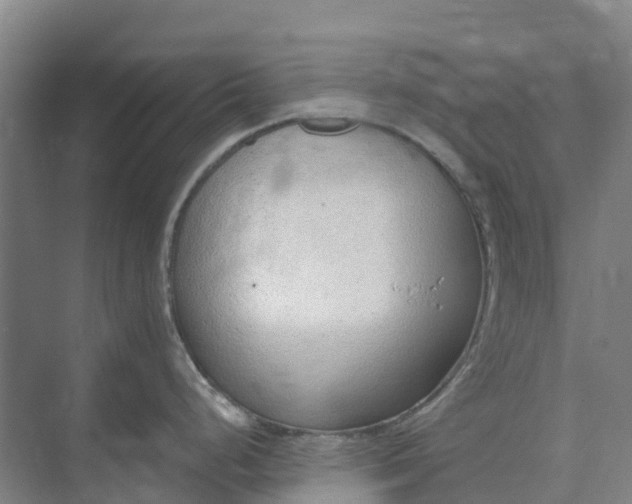 X0000074941248200609151956