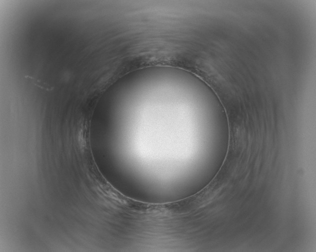 X0000074941250200609151956