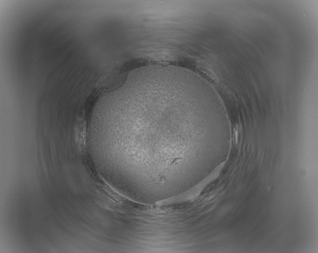 X0000074941251200609151955