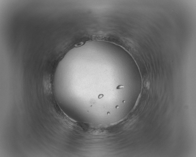 X0000074941252200609151955