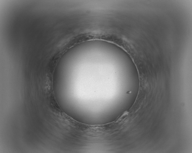 X0000074941253200609151955