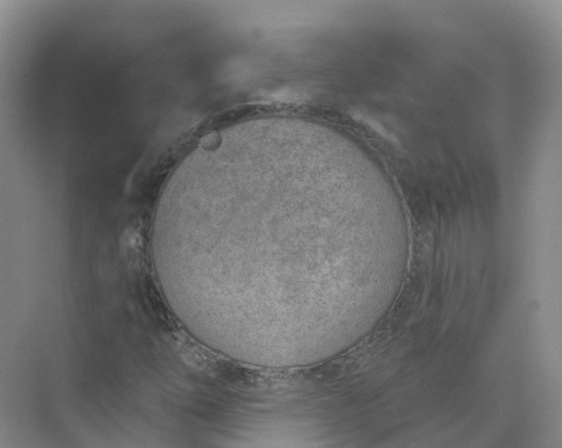 X0000074941254200609151955