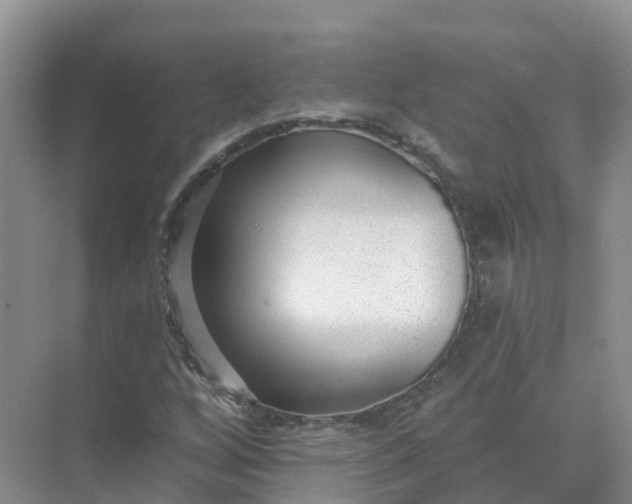 X0000074941256200609151955