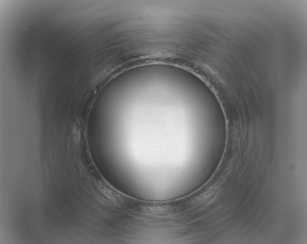 X0000074941257200609151955