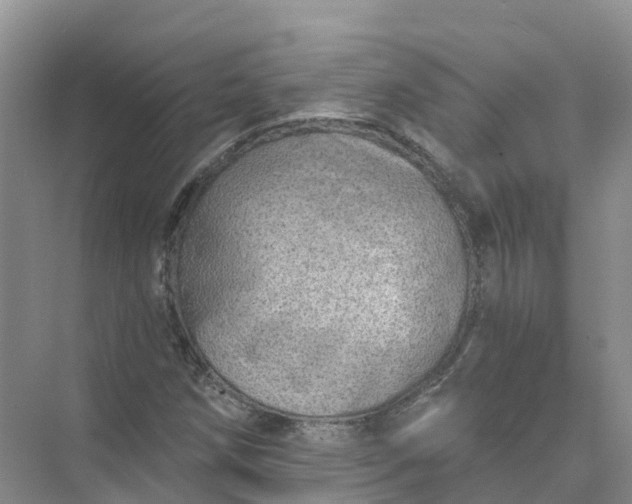 X0000074941258200609151955