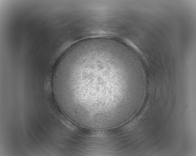 X0000074941259200609151955