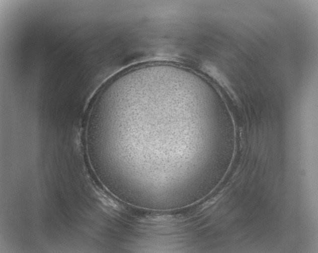 X0000074941260200609151955