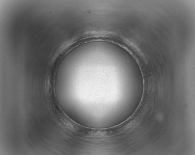 X0000074941261200609151955