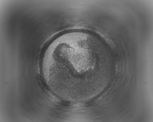 X0000074941262200609151955