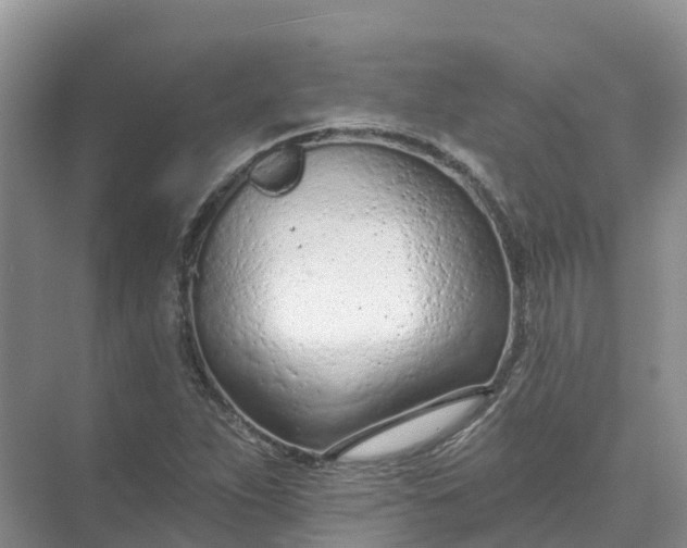 X0000074941263200609151955