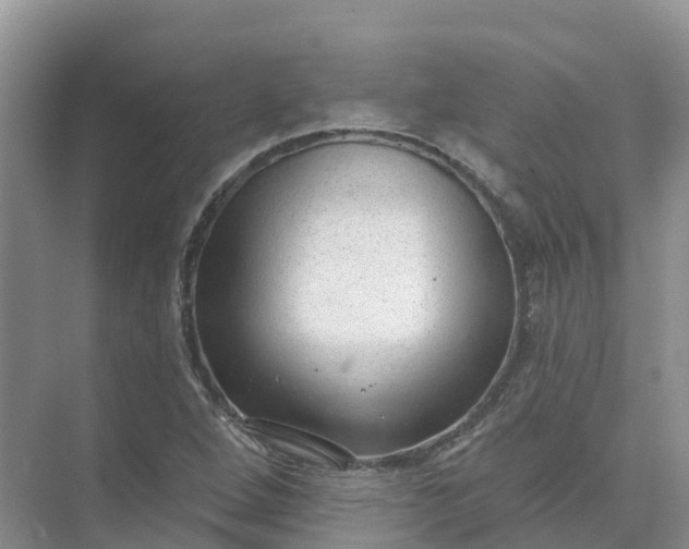 X0000074941264200609151955