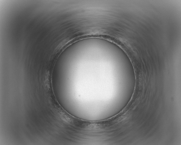 X0000074941265200609151955