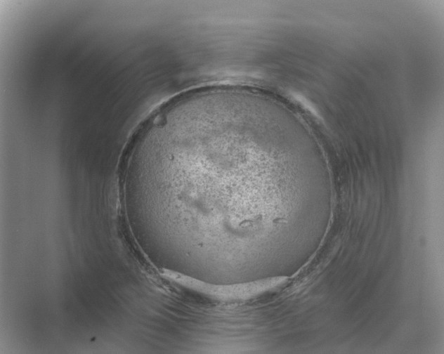 X0000074941267200609151955